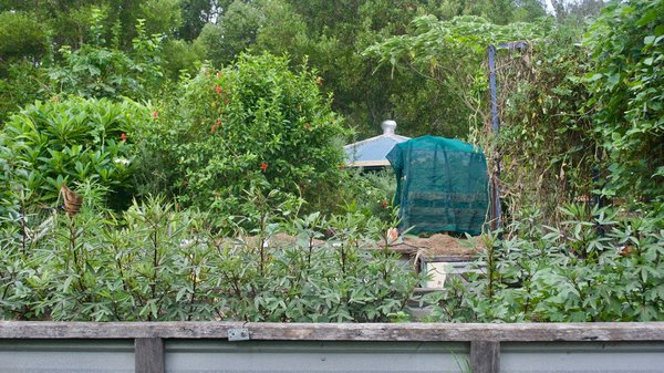 Comment intégrer des pratiques de permaculture dans un petit jardin communautaire?