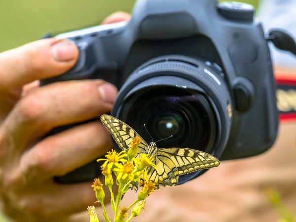 Comment organiser un atelier de photographie sur le thème de la nature pour enfants?
